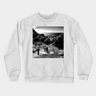 Land's End - San Francisco Crewneck Sweatshirt